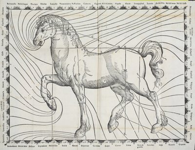 Diagram of blood-letting points on a horse from early book on horse husbandry, 1570 by Giovanni Battista Ferraro
